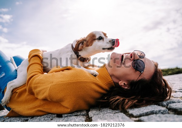 マドリードの公園で 晴れた日にペットが顔をなめながら笑っている美しい女性 その犬は飼い主の手の間にいる 家族犬の野外生活 の写真素材 今すぐ編集