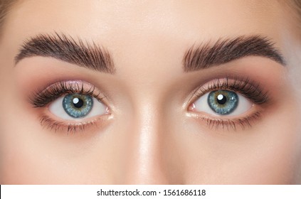 Beautiful woman with long eyelashes, beautiful make-up and thick eyebrows. Beautiful blue eyes close up. Looking at the camera. Makeup and Cosmetology concept.