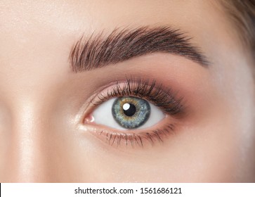 Beautiful woman with long eyelashes, beautiful make-up and thick eyebrows. Beautiful blue eyes close up. Looking at the camera. Makeup and Cosmetology concept. - Shutterstock ID 1561686121