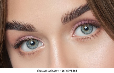 Beautiful woman with long eyelashes, beautiful make-up and thick eyebrows. Beautiful blue eyes close up. Looking at the camera. Professional makeup and cosmetology skin care.