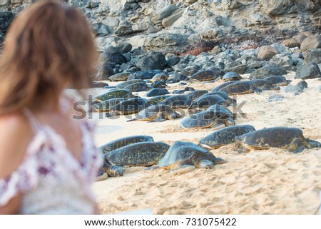 Beautiful woman near a large group of green sea turtles