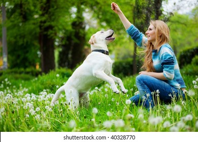 Beautiful woman with playful young dog on fresh green meadow