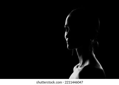 Beautiful Woman Profile Silhouette On Back Stock Photo 2211446047 ...