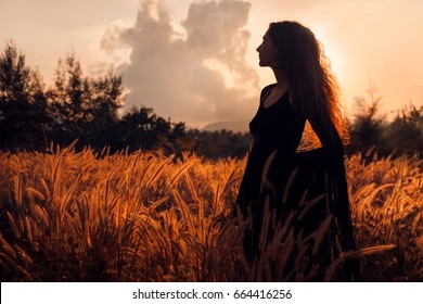 beautiful woman silhouette on sunset