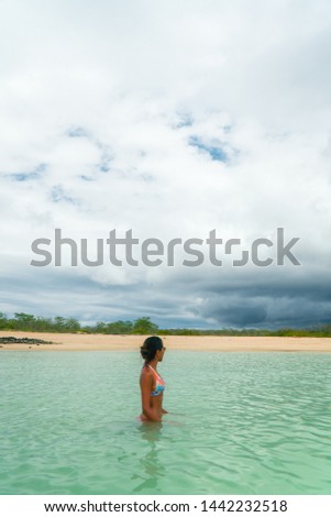 Beautiful woman swimming in the turquoise sea. Blue plain background with lots of copy space. On holiday shot in San Cristobal, Galapagos. Wild animal in nature.