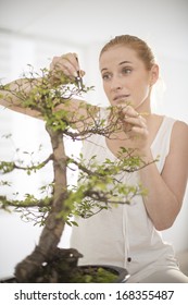 Beautiful Woman Taking Care Of A Bonsai