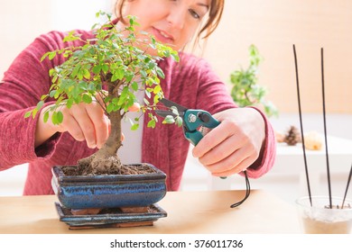 Beautiful Woman Trimming Bonsai Tree