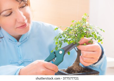 Beautiful woman wearing traditional chinese uniform trimming bonsai tree - Powered by Shutterstock