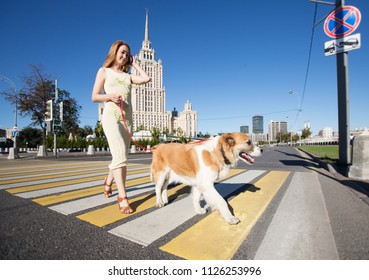 A Beautiful Woman In A Yellow Dress Crosses The Road Against The Backdrop Of Moscow. She Leads A Large Dog On A Leash.
