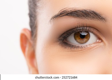 Beautiful woman's brown eye close up looking at camera