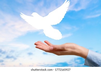 Beautiful woman's hand raising on the sky background with bird silhouette