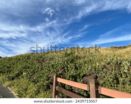 Beautiful and wonderful views of the fence and meadow under the blue cloud sky