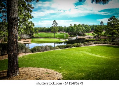 Beautiful wooded par 3 over water