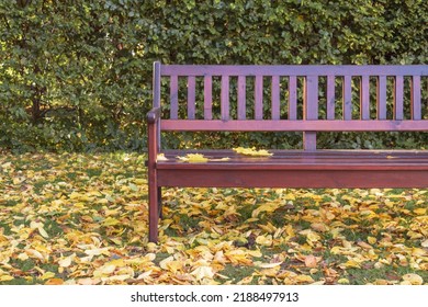 Beautiful wooden bench in the autumn park. Bench among autumn leaves. Background with copy space. Colorful autumn leaves.