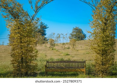 A beautiful wooden bench sits peacefully beneath a canopy of vibrant greenery, inviting visitors to relax in a picturesque outdoor location bathed in sunlight.  - Powered by Shutterstock