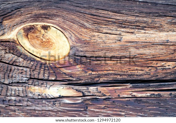 Beautiful wooden floor, old beams. Bright\
resinous bitch, like the sun sunset and the\
moon.