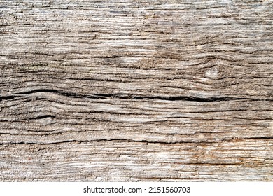 Hermosa fractura de madera roble antiguo, textura natural cercana, textura consistente en roble de la antigua fractura de madera de superficie, textura rayada de roble antiguo de madera, fractura decorativa de tabú para fondo de papel pintado