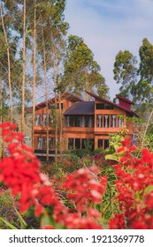 Beautiful Wooden House Among The Flower Surrounded With Eucalyptus Tree