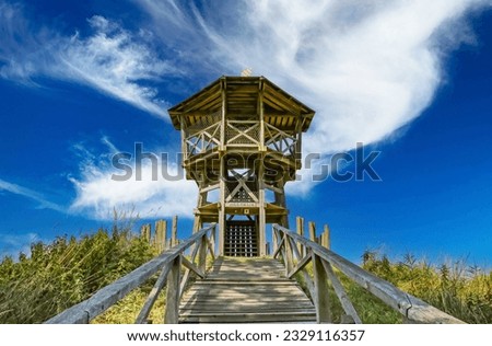 Beautiful wooden look-out tower with picnic spot on hill in rural dutch landscape along hiking and cycle trail - Heeskijk near Heeswijk, Noord-Brabant, Netherlands  Stock photo © 