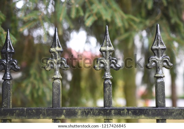 beautiful wrought iron\
fence in the forest 