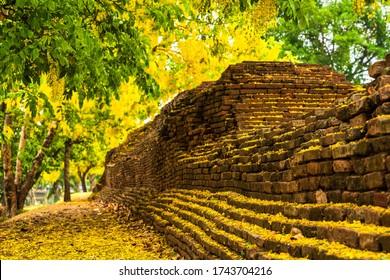 Beautiful Yellow Cassia fistula(Golden shower tree) blossom blooming on tree around the wall of moat in Chiang Mai Northern Thailand. Travels in Southeast Asia. - Powered by Shutterstock