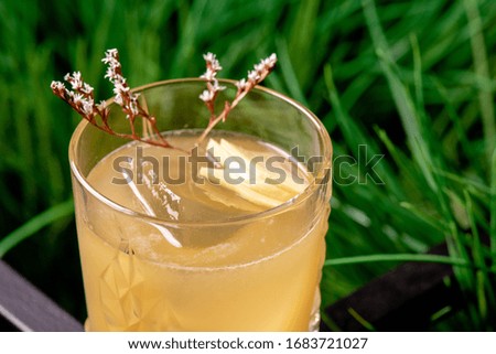 Beautiful yellow cocktail with ice decorated with a sprig and an apple in a faceted glass on a background of beautiful green grass. Space. Male cocktail in a beautiful faceted glass. Close-up.