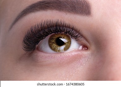 Braune Augen Images Stock Photos Vectors Shutterstock