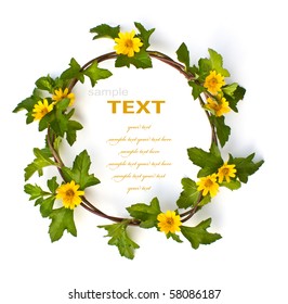 Beautiful Yellow Flower Crown Isolated On White Background