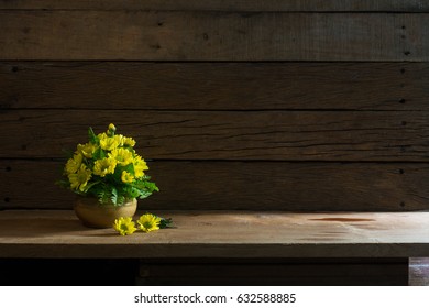 Beautiful yellow flowers with green leaf in the ceramics vase put on the plank in dim light room / Still life image and selective focus, visual art, Space for text

 - Powered by Shutterstock