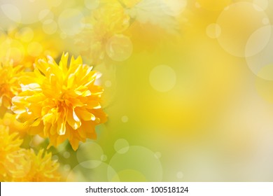 Beautiful Yellow Flowers On A Bokeh Background