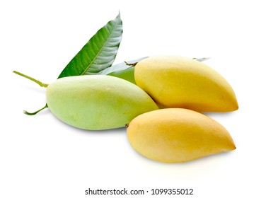 Beautiful Yellow Mango Fruit That Sweet Stock Photo 1099355012 ...