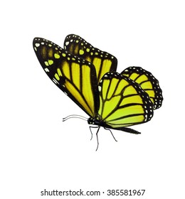 Butterfly Colorful Cartoon Vector Illustration Stock Vector (Royalty ...