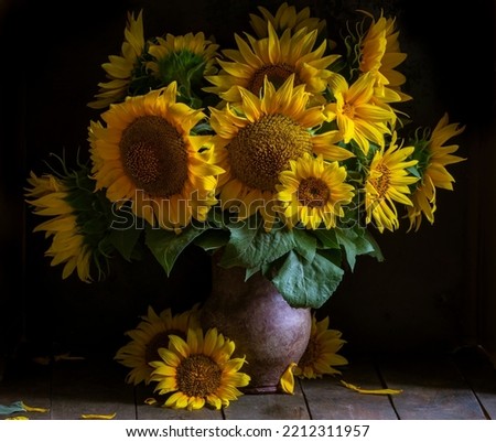 beautiful yellow Sunflower still life bouquet  in a clay jug ceramic rustic style oil honey Dark photo background wooden table Vintage. Retro. low key Autumn flowers