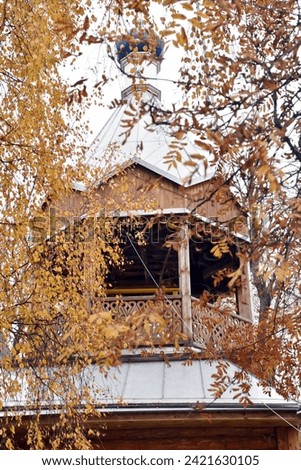 Beautiful yellow trees. Birches. Autumn. Wooden beautiful building in the background.