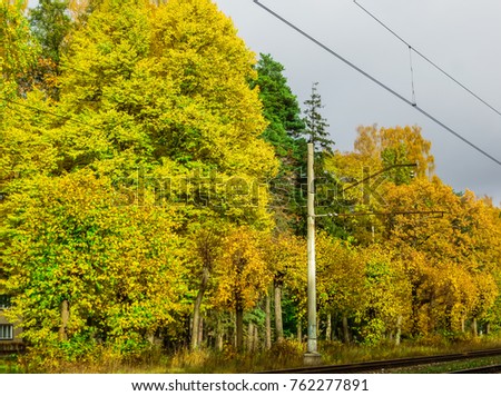 Beautiful, yellowed trees near the railway,in Latvia.