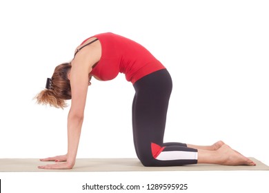 Beautiful Yoga: Hand To The Cat Pose - Real Senior Sporty Woman Doing Marjariasana Exercise