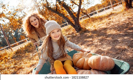 Beautiful young adult mother spending autumn day on farm with her little daughter. Cheerful child choosing small pumpkins, sitting near smiling woman and green wheelbarrow - Powered by Shutterstock