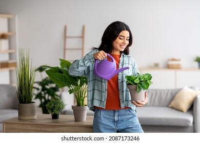 Beautiful young Arab female watering houseplants in living room. Lovely middle Eastern woman with waterpot taking care of home plants. Gardening, domestic environment, cozy home atmoshpere concept
