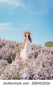 Beautiful Young Asian Woman Enjoying On Purple Marguerite Flower Blossom In The Garden Field