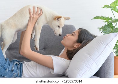 Beautiful young asian woman lying on sofa and playing with white Shiba Inu puppy in living room at home. Cheerful and nice couple with people and pet. Pet Lover concept