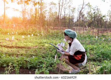 Beautiful young biotechnology woman engineer plant disease researcher in vegetable crops - Shutterstock ID 632166929