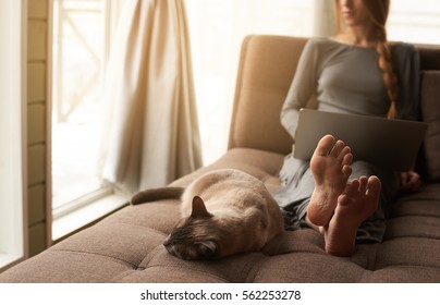 Beautiful Young Blond Woman With Braid Working On A Laptop And Her Cute Cat Sitting On The Comfortable Dark Sofa At Home. Focus On Barefoot Soles And Cat. Cozy Home Atmosphere, Backlit Warm Light.