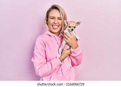 Beautiful young blonde woman hugging cute chihuahua dog sticking tongue out happy with funny expression. 