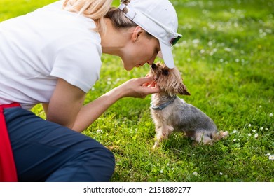 Beautiful young blonde woman kissing cute Yorkshire Terrier, touching noses with little dog, sitting together on grass in park