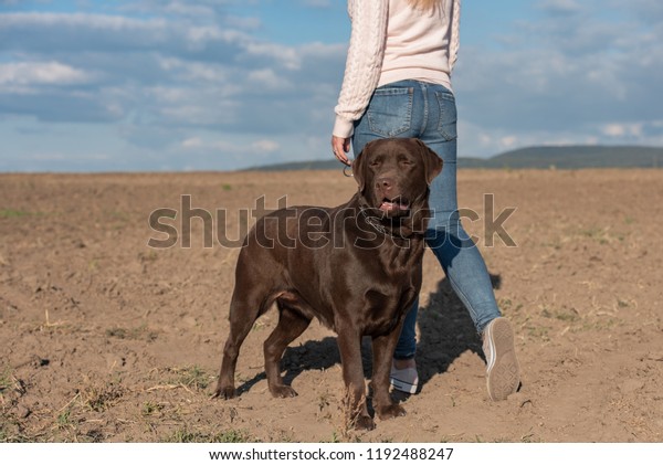 Beautiful Young Blondhaired Woman Having Fun Stock Photo Edit Now