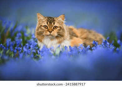 beautiful young cat portrait on a meadow of blue flowers in spring - Powered by Shutterstock