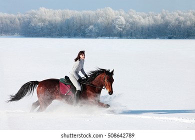 Beautiful Young Equestrian Woman In Winter Fields