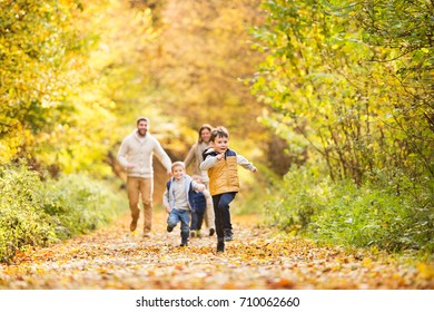Beautiful young family on a walk in autumn forest. - Shutterstock ID 710062660