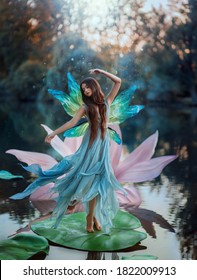 Beautiful Young Fantasy Woman In Image River Fairy Dances On Water Pink Lily Flower. Long Silk Dress Flies In Wind Motion Butterfly Wings Magic Shiny. Art Girl Pixie. Background Dark Nature, Blue Lake