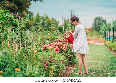 Beautiful young female in garden taking care of plants and flowers. Pretty girl taking care of garden. Watering flowers from watering can in summer time - Powered by Shutterstock